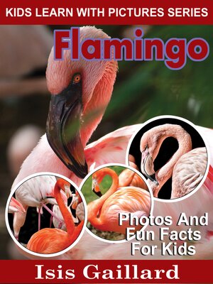 cover image of Flamingo